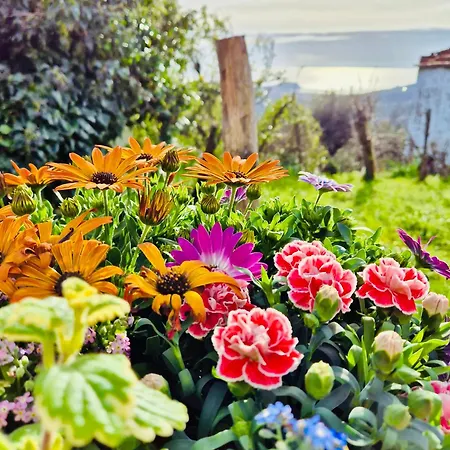La Collina Sul Mare - Apartamento Sestri Levante