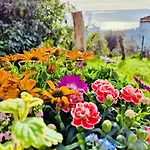 La Collina Sul Mare - Sea View Terrace - Top Rated 9,7 Apartment Sestri Levante